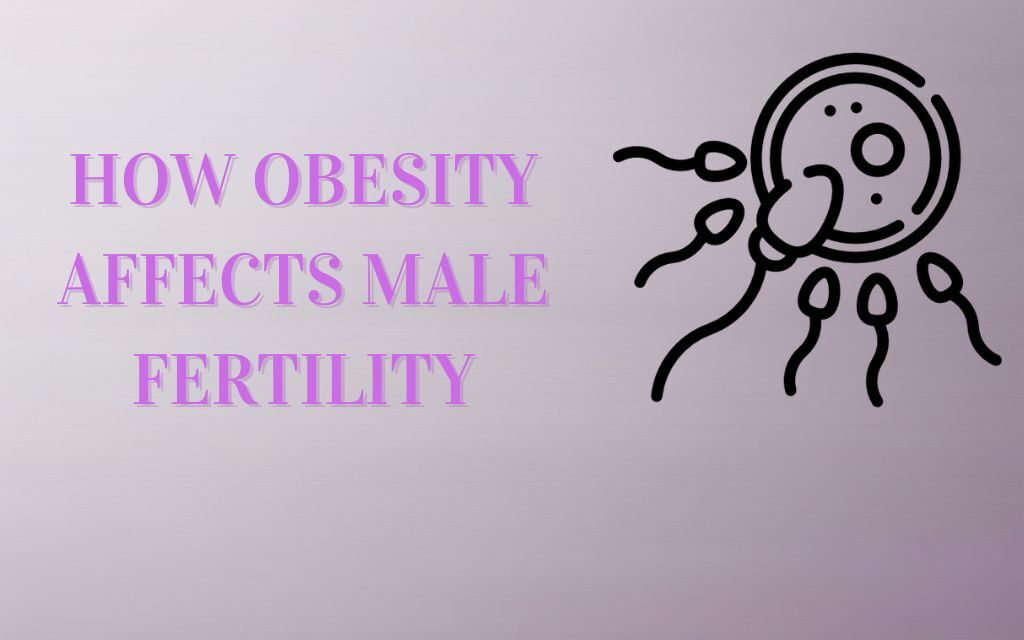 Impact of Obesity on Male Fertility