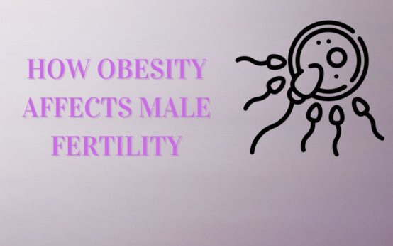 Impact of Obesity on Male Fertility