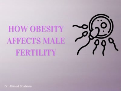 Impact of Obesity on Male Fertility