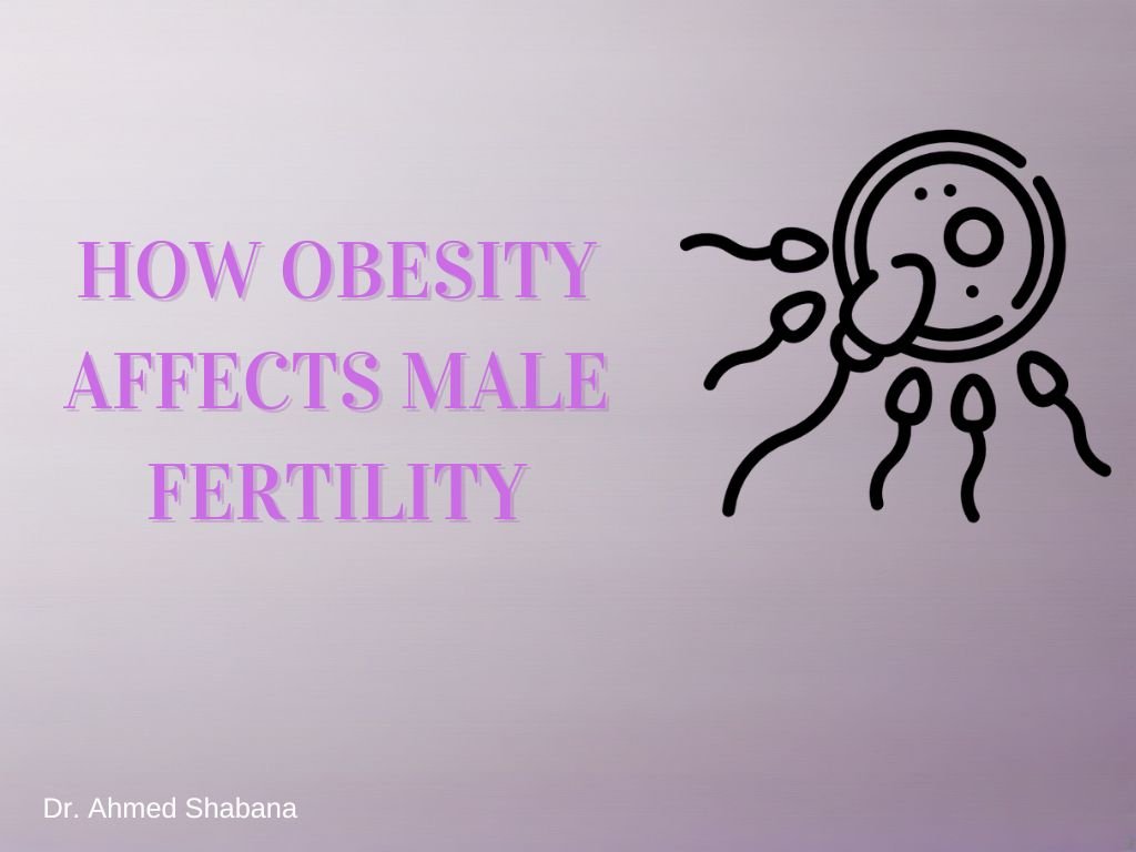 Impact of Obesity on Male Fertility